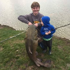 Meet your Posher, Zach